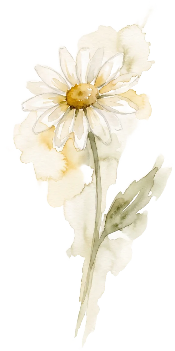 Daisy watercolour