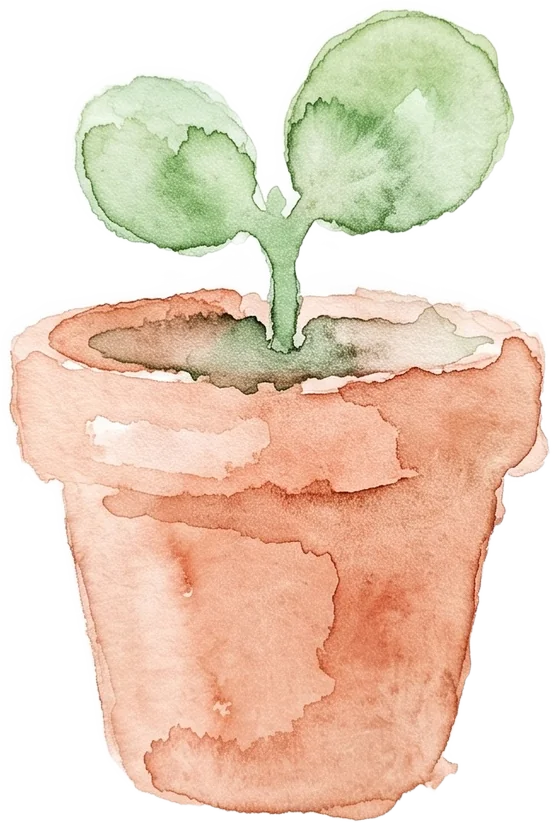 Sprout